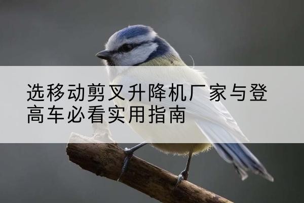 通化电动升降机厂家-选移动剪叉升降机厂家与登高车必看实用指南