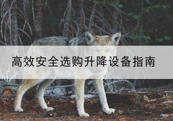 通化升降货梯厂家推荐-*安全选购升降设备指南