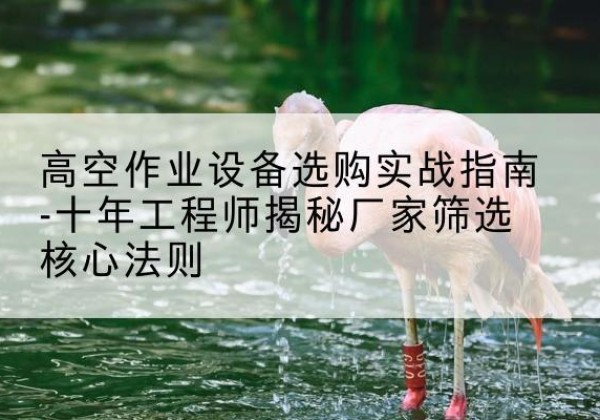 通化剪叉式升降机厂家-高空作业设备选购实战指南-十年工程师揭秘厂家筛选核心法则